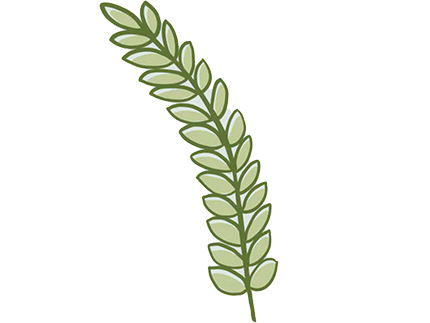 leaf to represent organic local produce