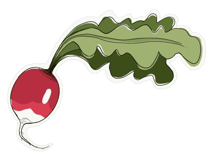 radish illustration to represent vegetarian catering options