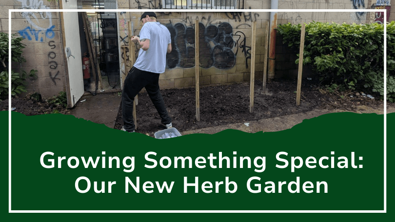 kates kitchen sustainable local produce catering