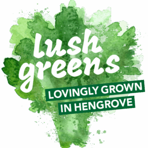 kates kitchen bristol catering supplier lush greens (1)