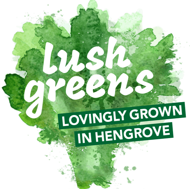 kates kitchen bristol catering supplier lush greens (1)