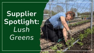 kates kitchen supplier lush green spotlight bristol sustainable food