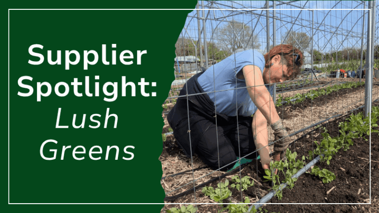 kates kitchen supplier lush green spotlight bristol sustainable food