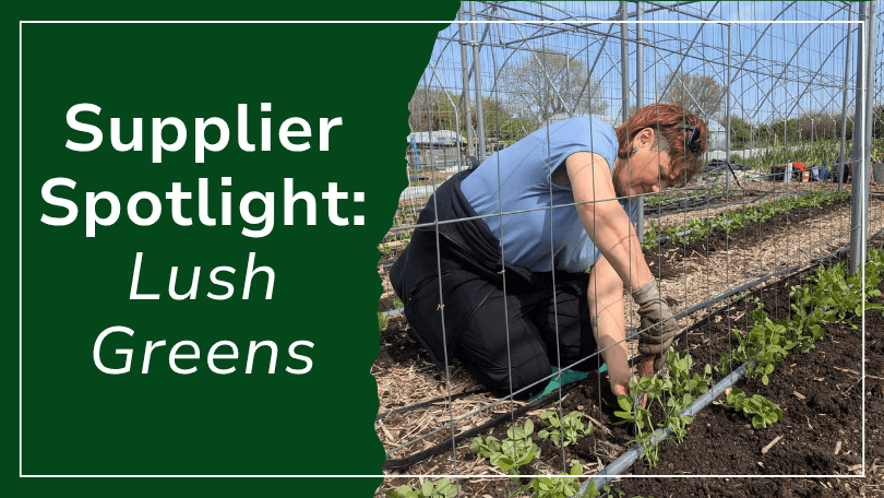 kates kitchen supplier lush green spotlight bristol sustainable food